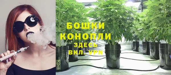 гашик Алексеевка