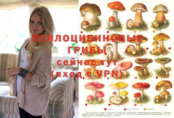 гашик Алексеевка