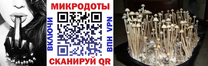 Галлюциногенные грибы Magic Shrooms  где можно купить   Иннополис 
